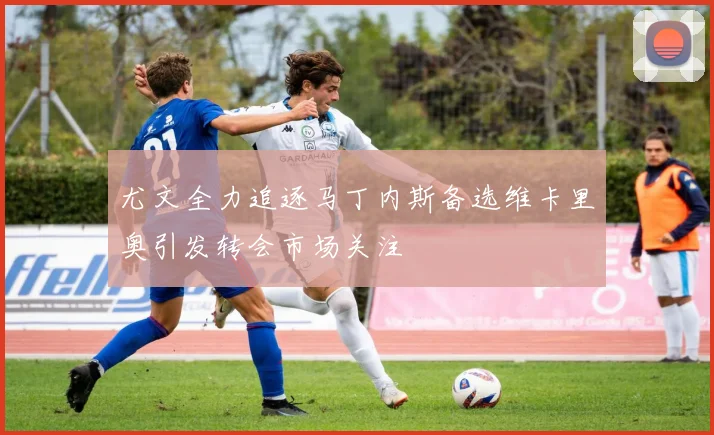 尤文全力追逐马丁内斯备选维卡里奥引发转会市场关注